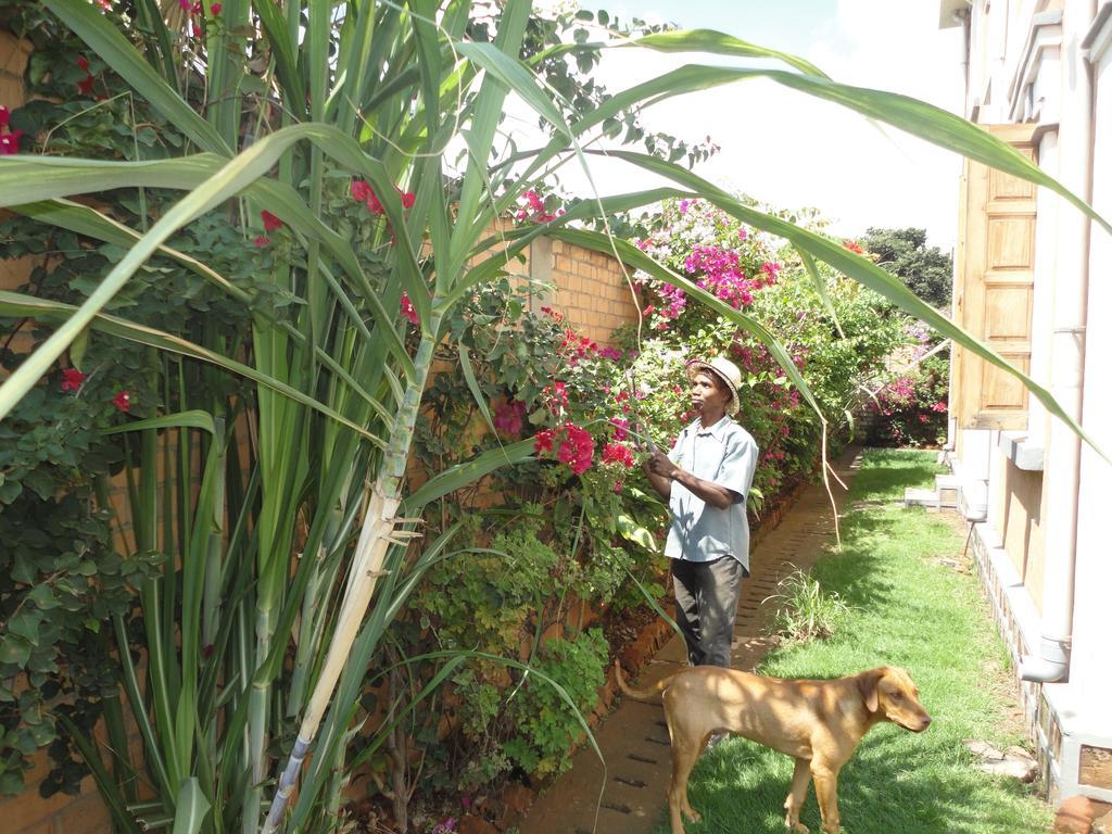 Meva Guesthouse Antananarivo Exterior foto